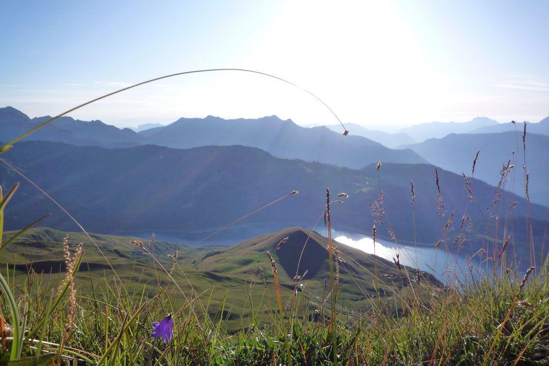 barrage de Roselend, location chalet d'alpage